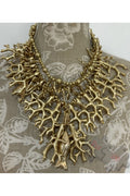 Md.Collar coral